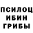 Галлюциногенные грибы Psilocybe D.F.P