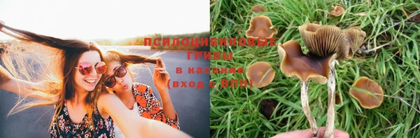бутират Дмитров